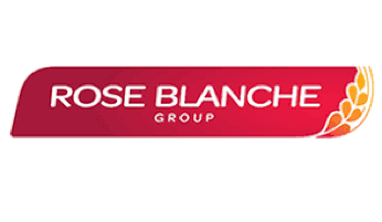 Rose blanche